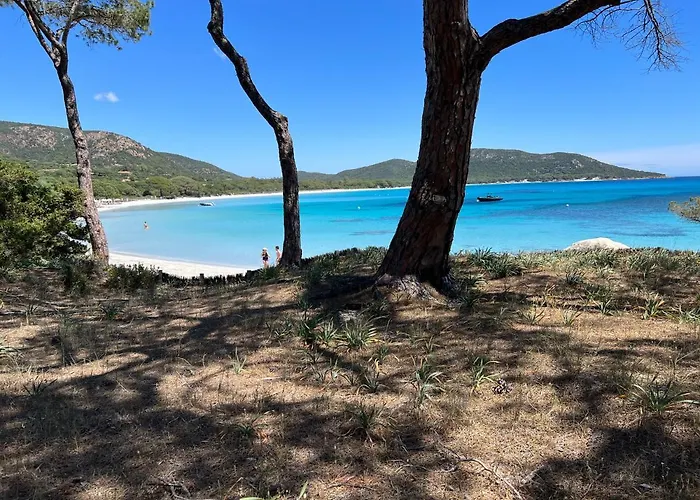 Palombaggia