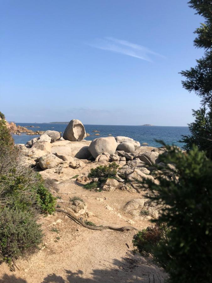 Palombaggia Villa Porto-Vecchio (Corsica)