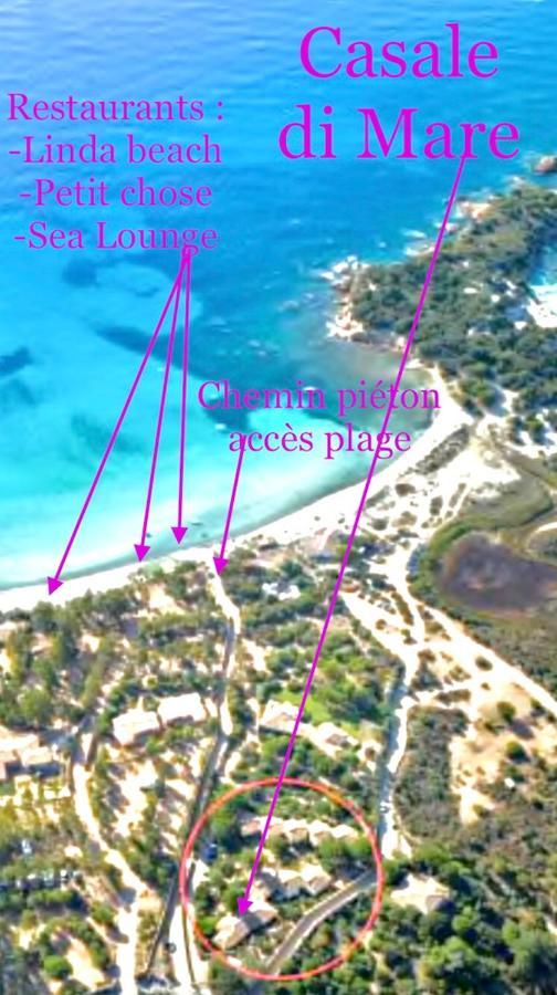 Palombaggia Villa Porto-Vecchio (Corsica)