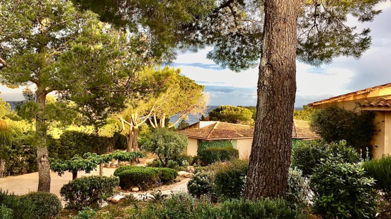 Palombaggia * Porto-Vecchio (Corsica)