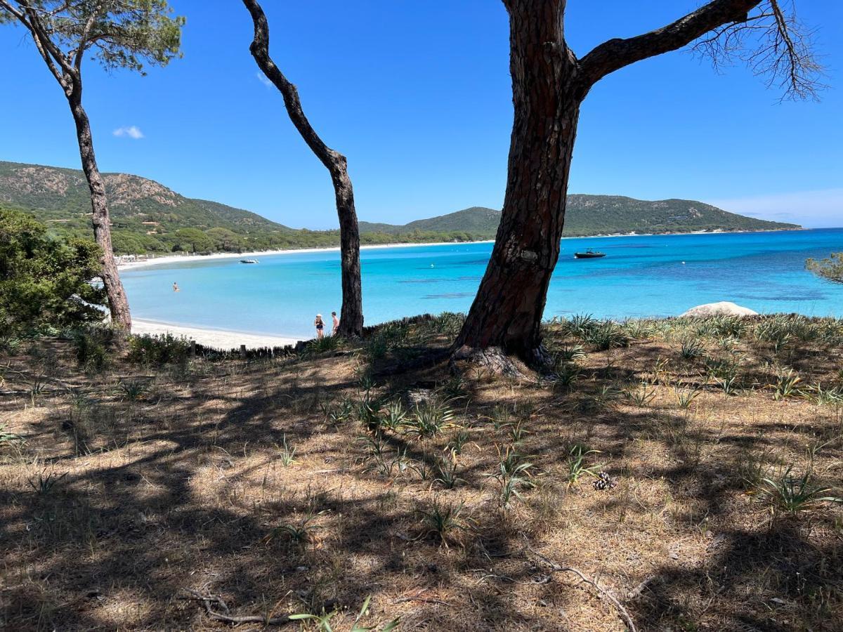 Palombaggia Villa Porto-Vecchio (Corsica)